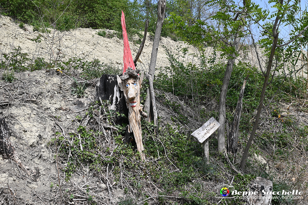 VBS_3185 - Mango (Cuneo) - Gnomovia.jpg